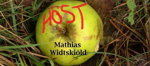 Höst på Kafé K_Mathias Widtskiöld