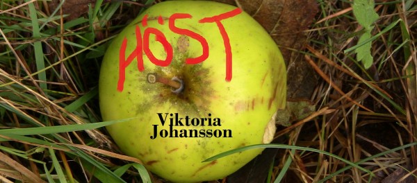 Höst på Kafé K_Viktoria Johansson