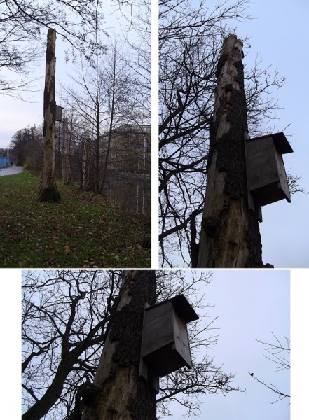 04Holken_600