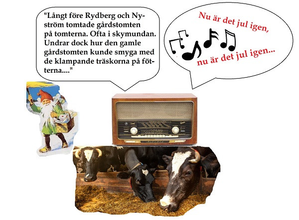En galen jul_Kor & radio_600